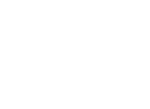 Scaleup4Europe_white